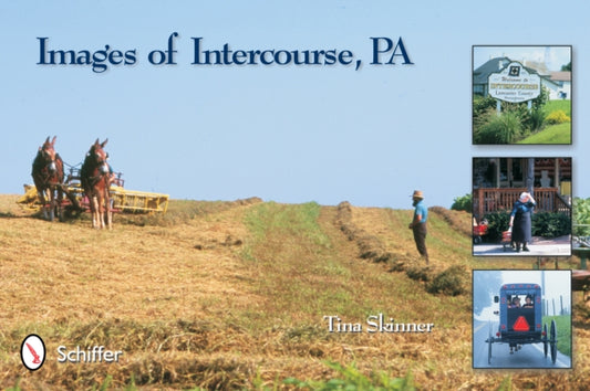 Book cover of: Images of Intercourse. By: Tina Skinner