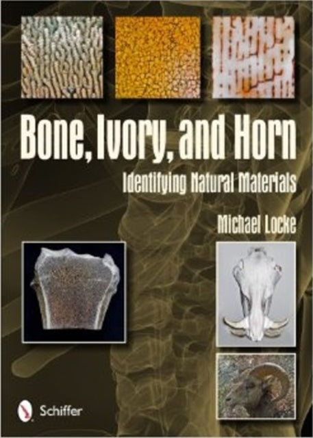 Book cover of: Bone, Ivory, and Horn. By: Michael Locke