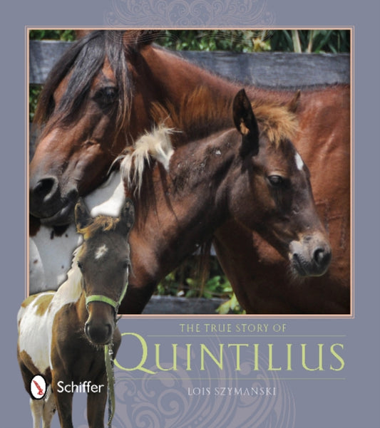 Book cover of: True Story of Quintilius. By: Lois Szymanski