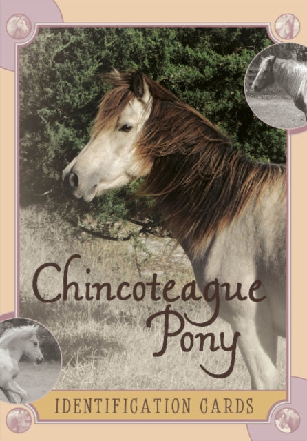 Book cover of: Chincoteague Pony Identification Cards. By: Lois Szymanski