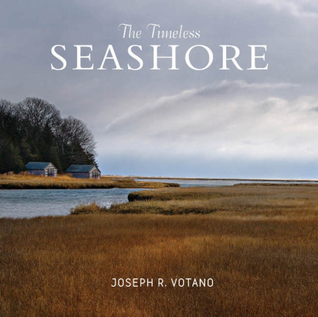 Book cover of: Timeless Seashore. By: Joe Votano