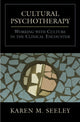Book cover of: Cultural Psychotherapy. By: Karen M. Seeley