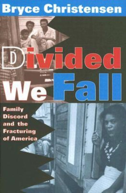 Book cover of: Divided We Fall