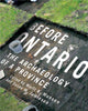 Book cover of: Before Ontario. By: Marit K. Munson