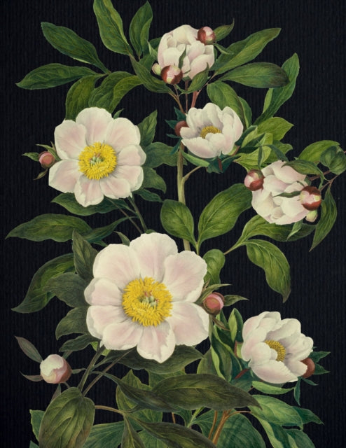 Book cover of: Blooming Flowers Journal. By: Editors of Chartwell Books