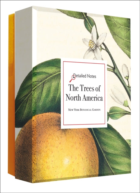 Book cover of: Trees of North America Detailed Notecard Set
