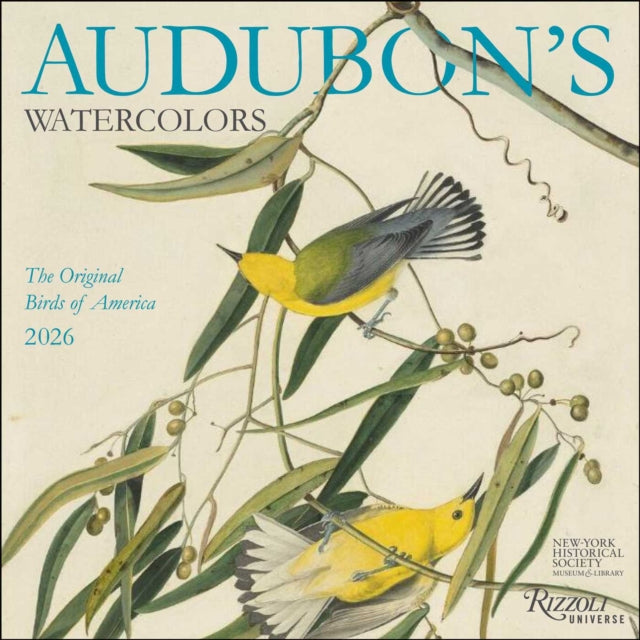 Book cover of: Audubon’s Watercolors 2026 Wall Calendar