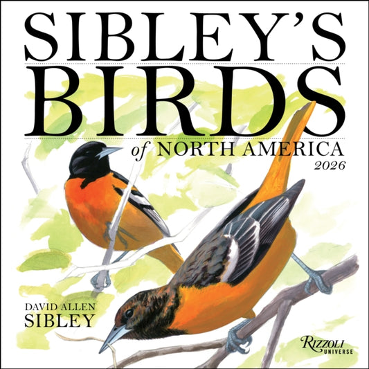 Book cover of: Sibley's Birds of North America 2026 Wall Calendar