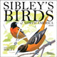 Book cover of: Sibley's Birds of North America 2026 Wall Calendar