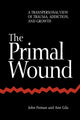 Book cover of: Primal Wound