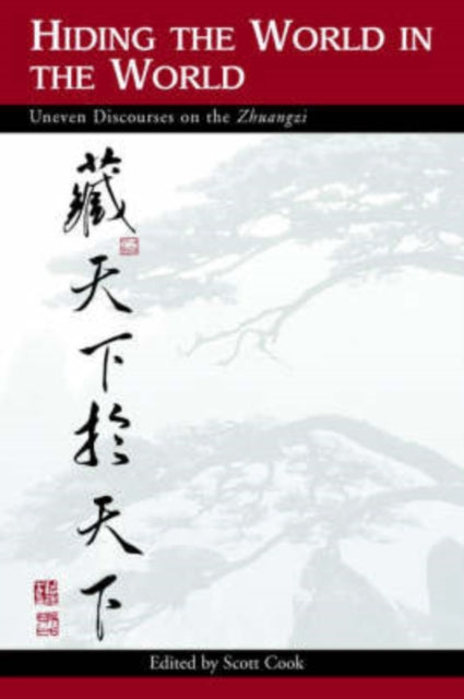 Book cover of: Hiding the World in the World. By: Scott Cook