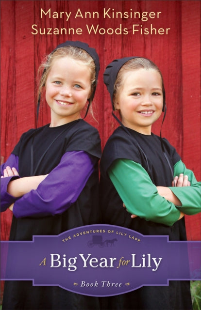 Book cover of: Big Year for Lily. By: Mary Ann Kinsinger