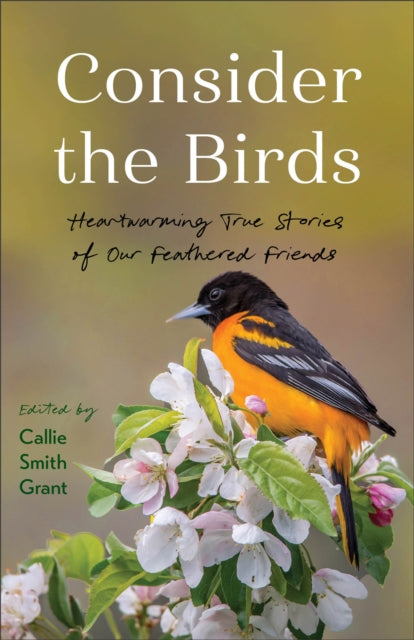 Book cover of: Consider the Birds