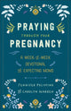 Book cover of: Praying Through Your Pregnancy. By: Jennifer Polimino