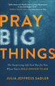 Book cover of: Pray Big Things – The Surprising Life God Has for You When You`re Bold Enough to Ask