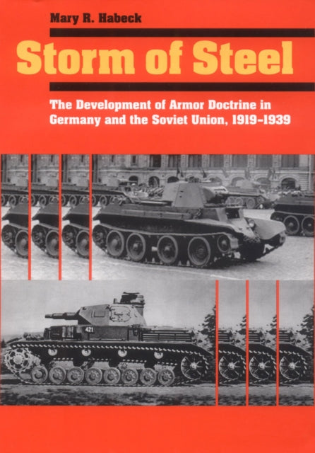Book cover of: Storm of Steel. By: Mary R. Habeck