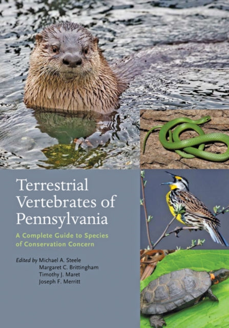 Book cover of: Terrestrial Vertebrates of Pennsylvania