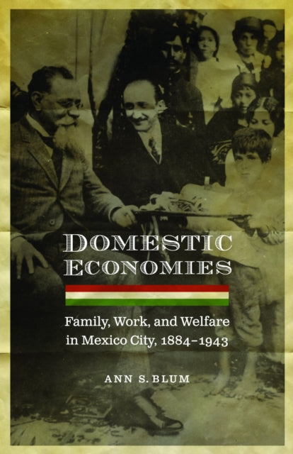 Book cover of: Domestic Economies. By: Ann Shelby Blum