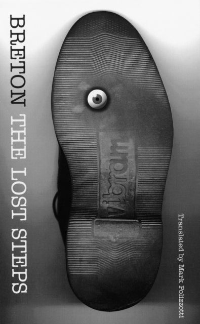 Book cover of: Lost Steps