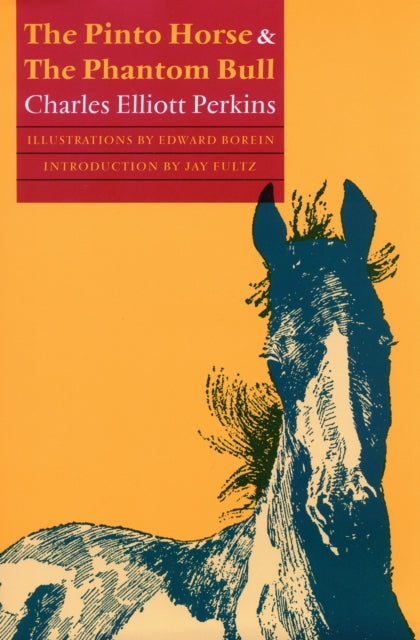 Book cover of: Pinto Horse and the Phantom Bull
