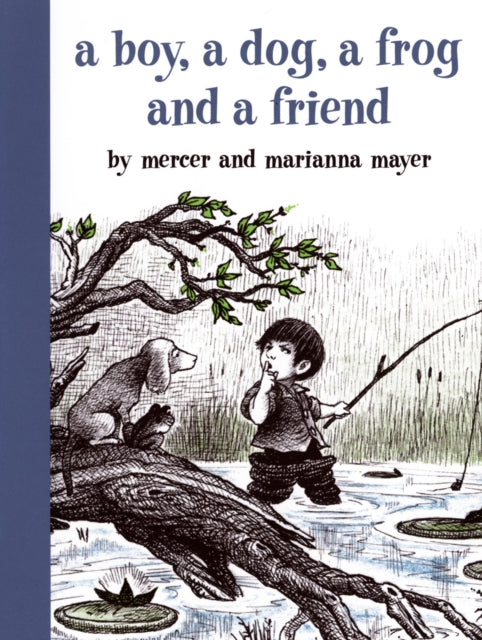 Book cover of: Boy, a Dog, a Frog, and a Friend