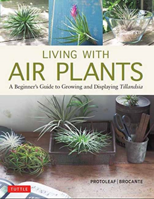 Book cover of: Living with Air Plants. By: Yoshiharu Kashima (Protoleaf)