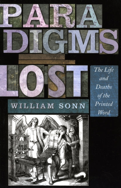 Book cover of: Paradigms Lost