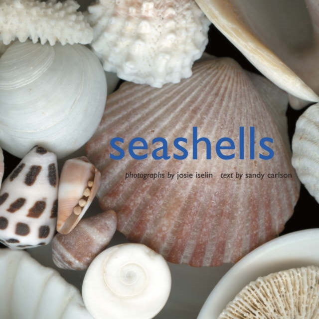 Book cover of: Seashells. By: Josie Iselin