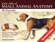 Book cover of: Color Atlas of Small Animal Anatomy
