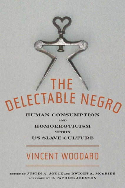 Book cover of: Delectable Negro. By: Vincent Woodard
