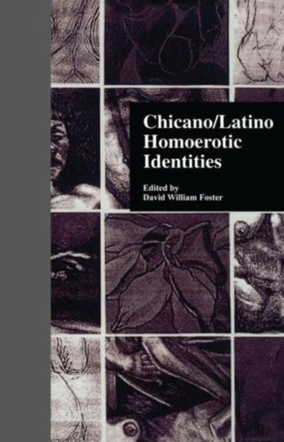 Book cover of: Chicano/Latino Homoerotic Identities