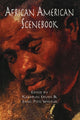 Book cover of: African American Scenebook