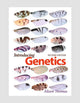 Book cover of: Introducing Genetics