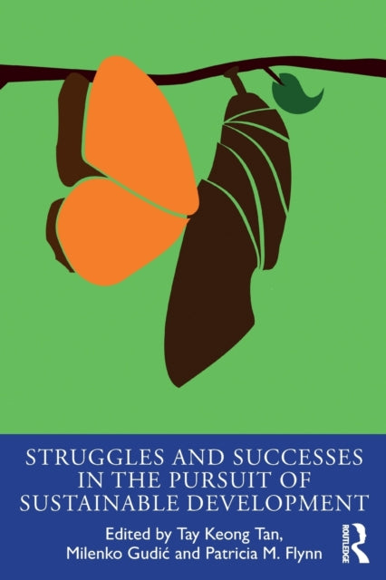 Book cover of: Struggles and Successes in the Pursuit of Sustainable Development. By: Tay Keong Tan