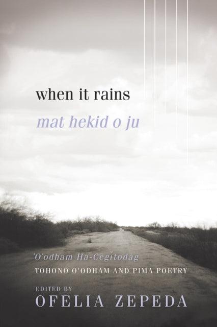 Book cover of: When It Rains