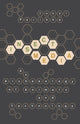 Book cover of: Insect Media. By: Jussi Parikka