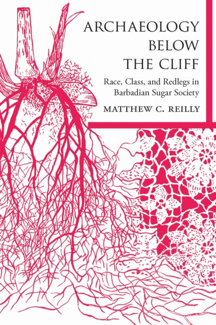 Book cover of: Archaeology Below the Cliff. By: Matthew C. Reilly