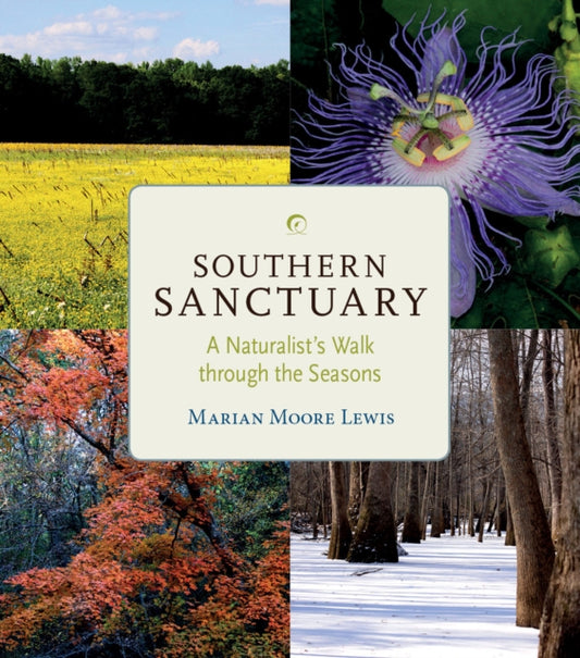 Book cover of: Southern Sanctuary. By: Dr. Marian Moore Lewis Ph.D.
