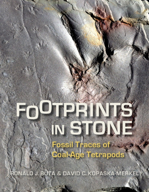 Book cover of: Footprints in Stone. By: Ronald J. Buta .