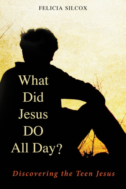 Book cover of: What Did Jesus DO All Day?. By: Felicia Silcox