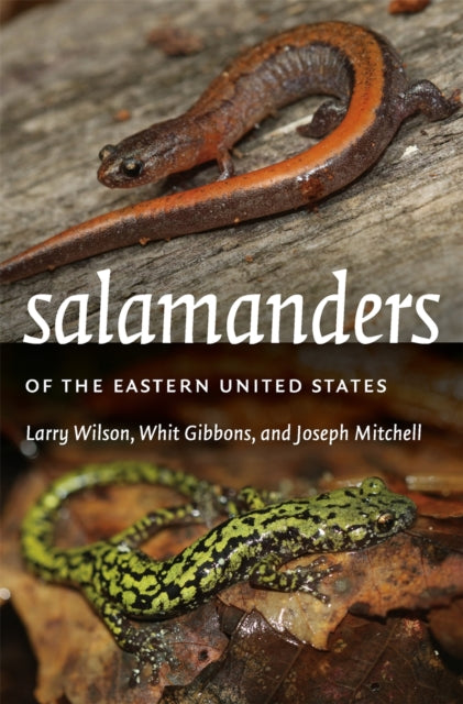 Book cover of: Salamanders of the Eastern United States