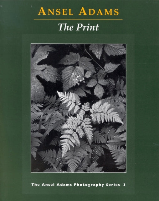 Book cover of: New Photo Series 3: Print
