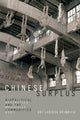 Book cover of: Chinese Surplus. By: Ari Larissa Heinrich