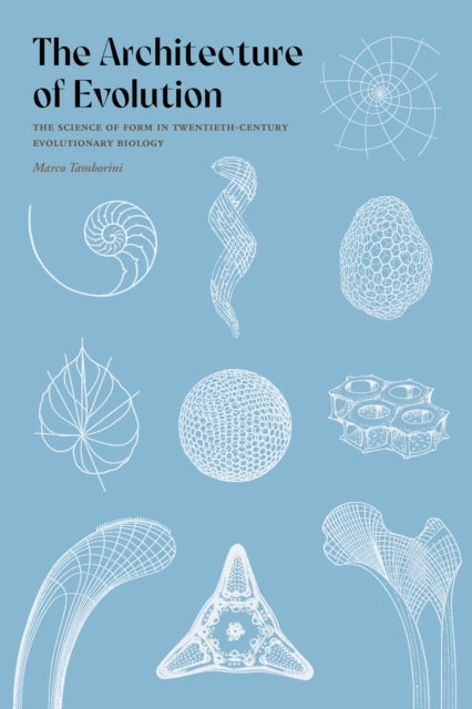 Book cover of: Architecture of Evolution. By: Marco Tamborini