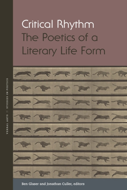Book cover of: Critical Rhythm