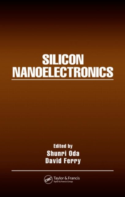 Book cover of: Silicon Nanoelectronics