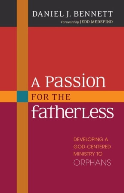 Book cover of: Passion for the Fatherless – Developing a God–Centered Ministry to Orphans