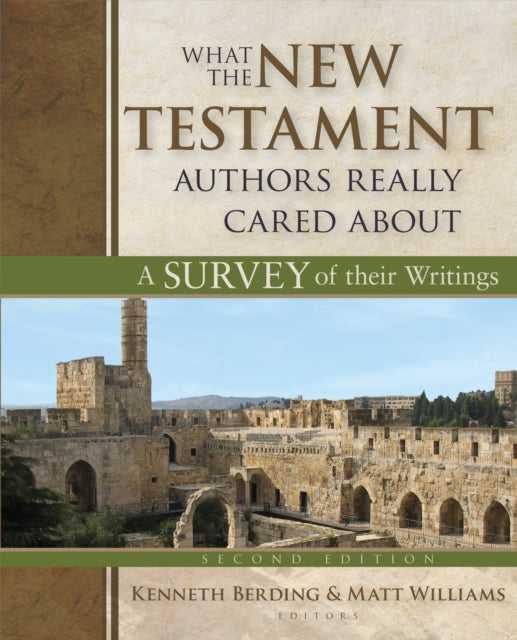 Book cover of: What the New Testament Authors Really Cared About