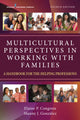 Book cover of: Multicultural Perspectives in Working with Families. By: Elaine Congress