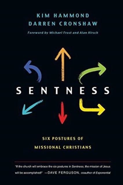 Book cover of: Sentness. By: Kim Hammond